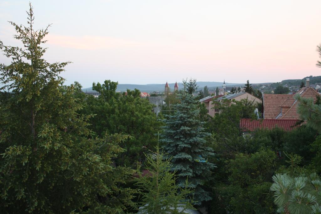 Barcza Vendeghaz Balatonfured Exterior photo